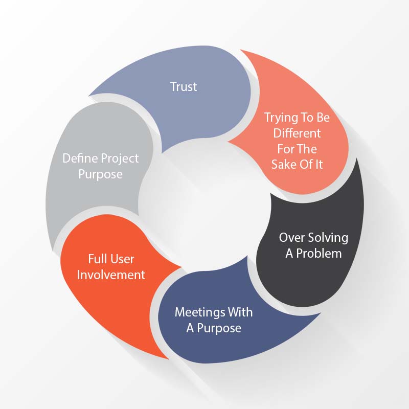 Circular Image with the words Trust, Trying to be different, solving a problem, Meetings with a purpose, Full user involvement and define project purpose. Showing Ways To Succeed with a software development project