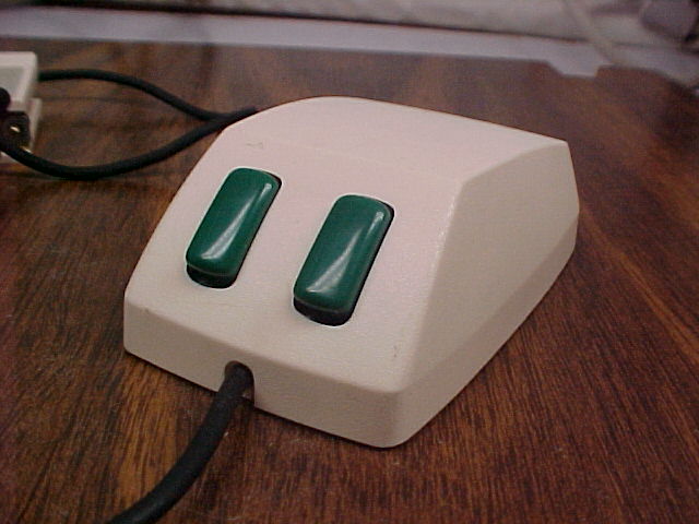 the first mouse