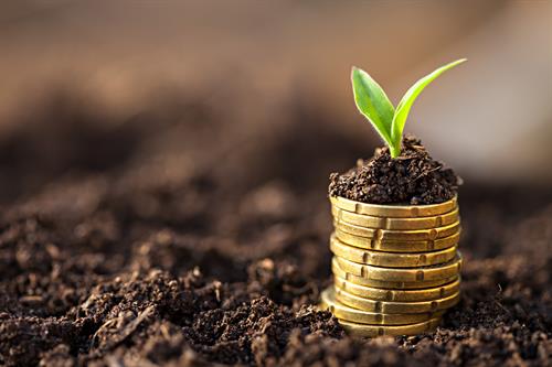 Coins In Mud With Sprout On Top Of Coins