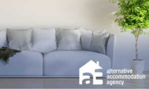 White Sofa And Green Plant